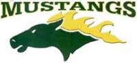 mustangs